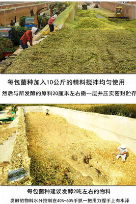 青储饲料发酵剂秸秆发酵剂黄贮玉米牧草发效粉喂养牛羊专用菌