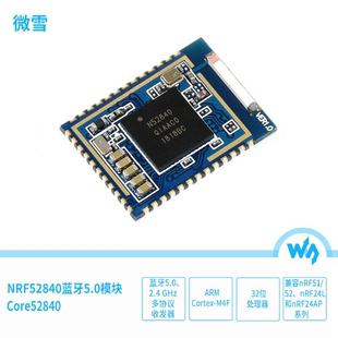 nRF52840蓝牙5.0模块 可穿戴设备交互式 娱乐设备等短距离无线应用