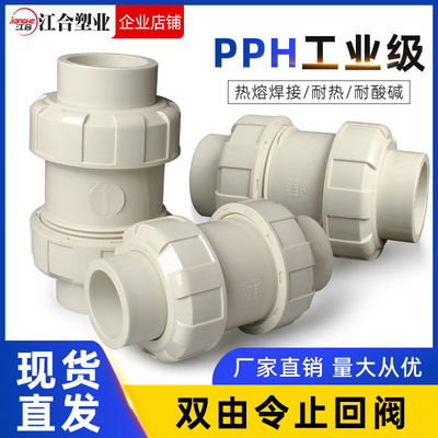 PPH双由令止回阀PPR水管