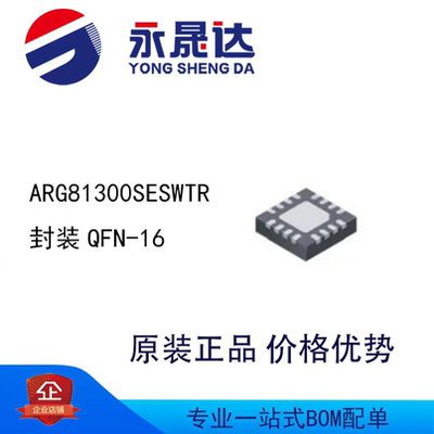 ARG81300SESWTR 封装QFN-16 电源管理芯片