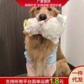 金毛边牧宠物狗狗专用护肘衣关键保护套护膝中大型犬防舔防磨前腿