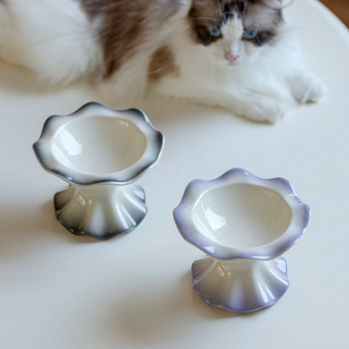 高颜值陶瓷高脚防打翻宠物碗猫狗碗粮食喝水碗宠物用品盆跨境出口