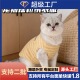 防掉毛 加绒背心幼猫幼犬袜子小猫小狗秋冬保暖服装 2025新款 超小码