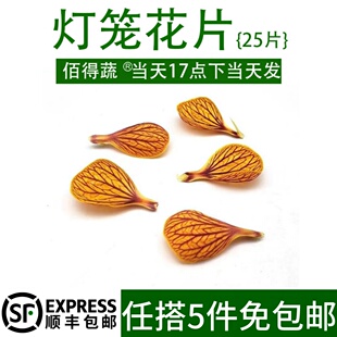 新鲜灯笼花 金玲花 风铃花灯笼花瓣25片餐饮酒店日料摆盘装饰鲜花