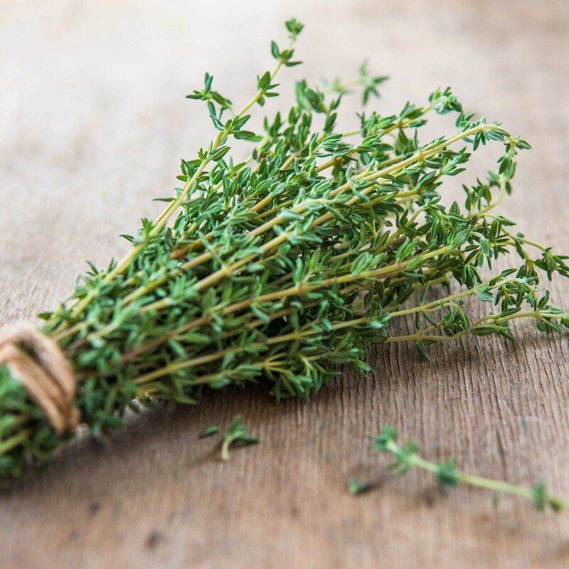百里香新鲜食用煎牛排用可食用烧烤香料菜调料调味装饰西餐食材