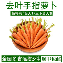 新鲜手指萝卜去叶子水果萝卜即食西餐沙拉食材甜红胡萝卜迷你萝卜