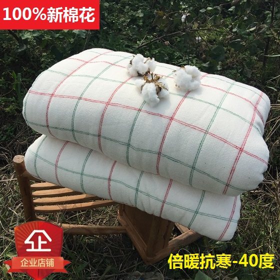 新疆棉花被子纯棉花冬被加厚保暖全棉被芯棉絮学生宿舍单人春秋被,床上用品,棉花被,淘宝优惠券,粉丝福利购,淘宝优惠卷