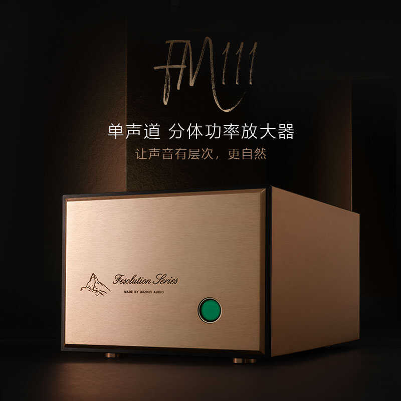 单声道BRZHIFI大功率放大器FM111