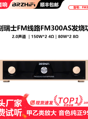 伟良大功率功放机FM300AS发烧hifi甲乙类后级音响直刻瑞士FM线路