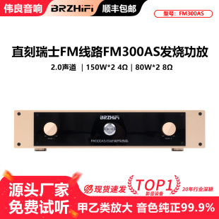 伟良大功率功放机FM300AS发烧hifi甲乙类后级音响直刻瑞士FM线路