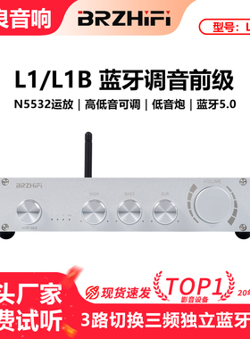 伟良音响BRZHIFI纯甲类前级L1B前级蓝牙5.0前置放大高中低音调节