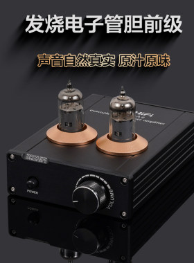 发烧电子管胆前级BRZHIFI放大器