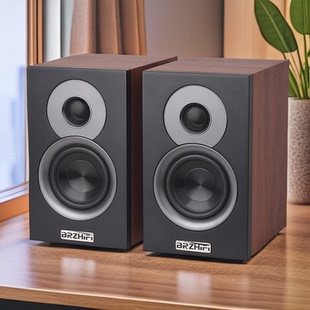 伟良音响BRZHIFI无源书架4寸音箱 DL40/50桌面二分频扬声器后导向