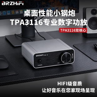 伟良音响 PAD-10大功率家用数字功放机hifi发烧级桌面小型纯后级