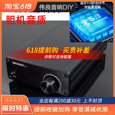 AM-P1 温暖迷人的功放 论美HD1969 LM1875  功放机 蓝牙5.3