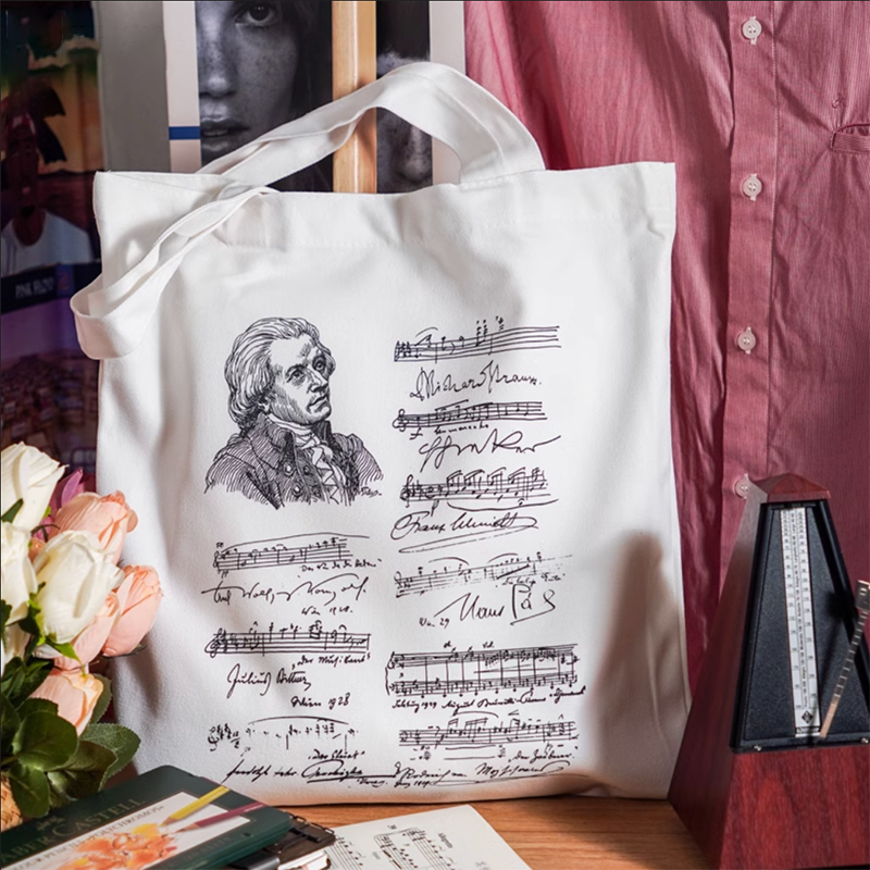 帆布包文艺小众白色帆布包袋