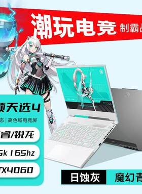 华硕天选4R7锐龙4060独显本