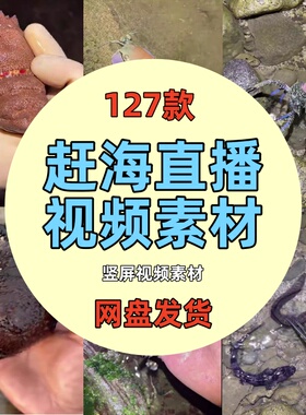 白天夜晚上出海赶海边捉海鲜抓鱼水产品抖音直播带货视频背景素材