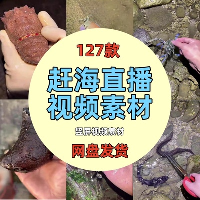 白天夜晚上出海赶海边捉海鲜抓鱼水产品抖音直播带货视频背景素材