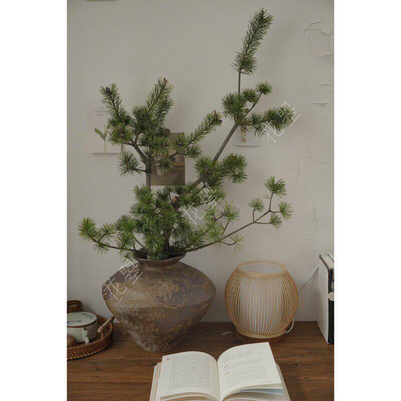 花曌 五针松鲜切枝条中式插花茶室插花松枝家居瓶插花诧寂风
