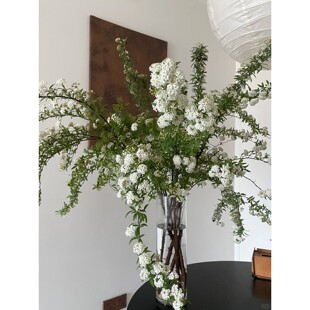 小手球鲜切花鲜花水养真花瓶插花春天时令花材绣线菊飘逸灵动的花