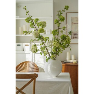 花曌 春天时令中华木绣球鲜花水养真花鲜切花餐桌书桌家居瓶插花