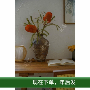 花曌 【南非进口佛塔花】【真花干花】【家居瓶插花】家居装饰