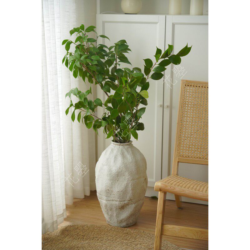 花曌 新鲜采摘茶花叶鲜切枝条水养落地植物家居瓶插花大型插花材