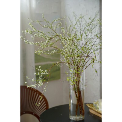 单瓣雪柳鲜枝家居瓶插花