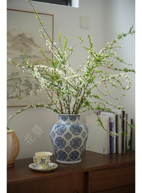 花曌 新鲜雪柳鲜枝鲜切花鲜花水养真花家居瓶插花雪柳花带花发货