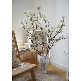 梨花鲜切花鲜切枝花瓶插花春天时令花材鲜花水养真花上海鲜花发货