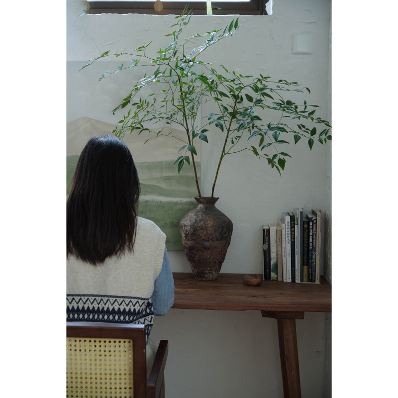 绿天竹鲜切水养植物家居瓶插花