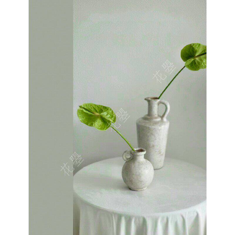 花曌 绿掌米多蕊掌鲜切花鲜花水养真花家居瓶插花餐桌面书桌插花