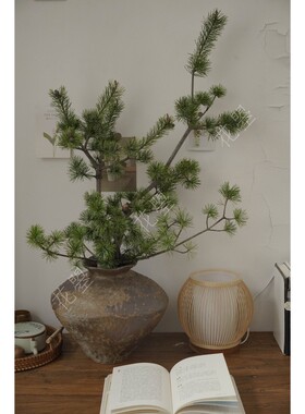 花曌 五针松鲜切枝条中式插花茶室插花松枝家居瓶插花诧寂风