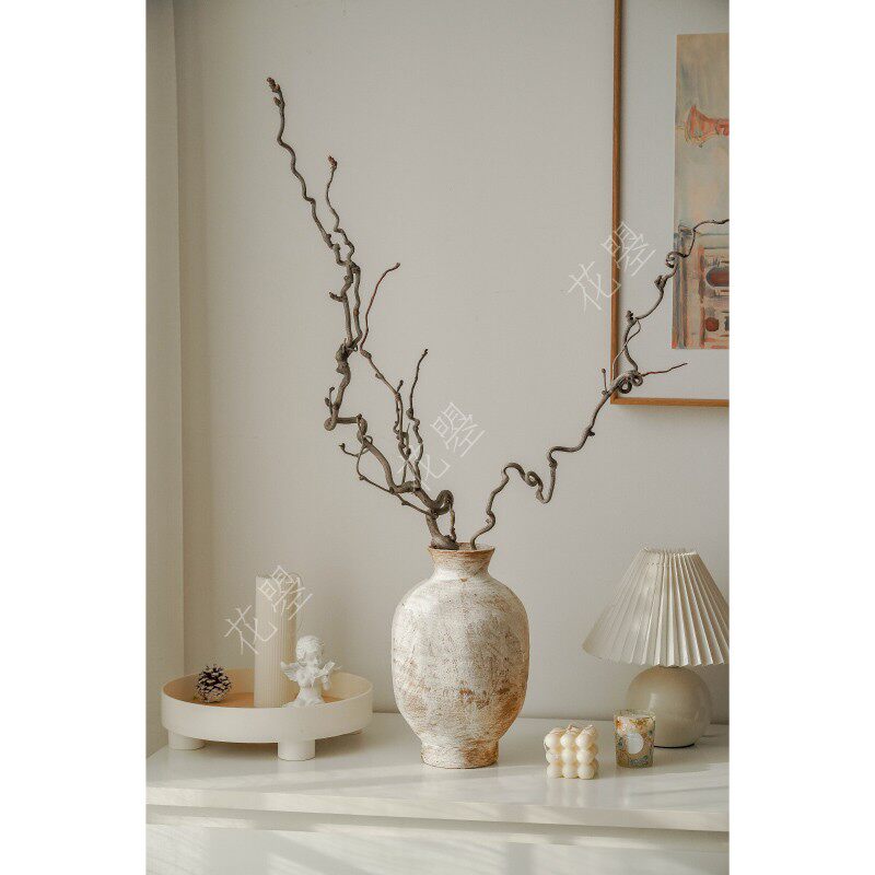 花曌 龙爪枣枯枝干支干树枝造景禅意诧寂风民宿家居氛围感好物,鲜花速递/花卉仿真/绿植园艺,花材,淘宝优惠券,粉丝福利购,淘宝优惠卷