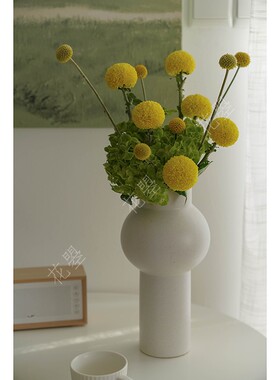 花曌 乒乓菊黄金球混搭插花鲜花水养 上海发货 顺丰快递 家居插花