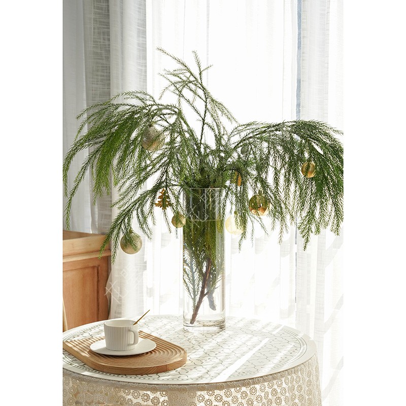 花曌 新鲜松树枝条水养新年年宵花春节装饰松枝鲜切枝天竺少女松