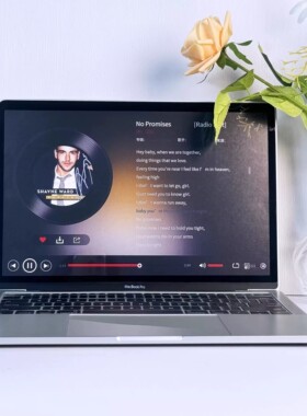 13.3寸笔记本电脑模型