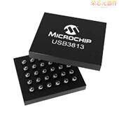 「IC 1080XY USB3813 USB TR原装 CTLR 30WLCSP」正品 2.0