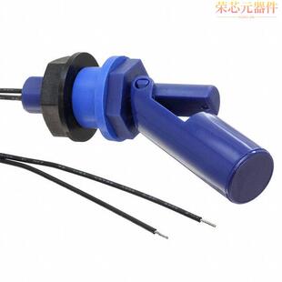 SWITCH HRZ COMP FSH PS」正品 「FLOAT MNT 25原装