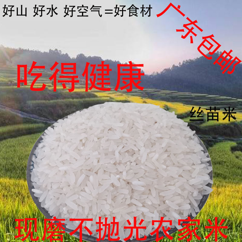 连山梯田新鲜现磨不抛光农家胚芽米长粒丝苗油粘香米新大米 冬米
