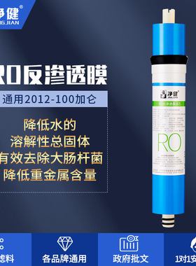 净健RO膜滤芯2012-100加仑 反渗膜逆渗透 滤水机滤芯 净水器滤芯