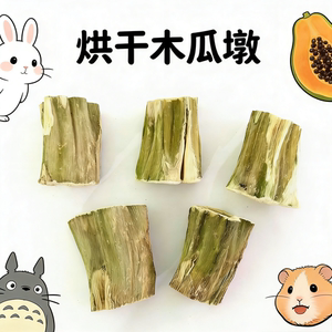 小宠烘干木瓜树墩健康磨牙解闷玩具兔子荷兰猪龙猫木瓜墩磨牙咬木