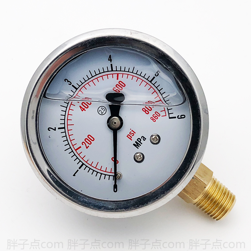 径向油表YN-60防震压力表0-6MPa