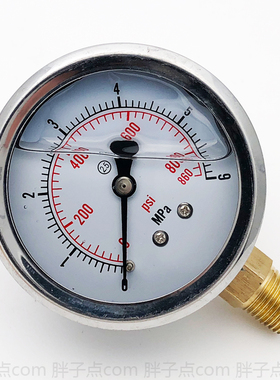 径向油表YN-60防震压力表0-6MPa液压表860psi气压表2分螺纹ZG1/4