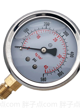 AT-63耐震压力表40kg/cm2油压表0-580psi液压表接口G1/4牙气压表