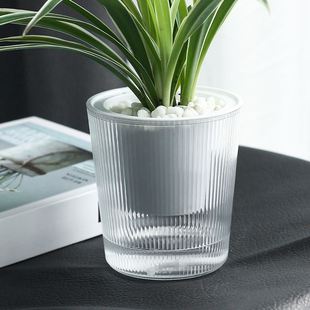 Lazy Flower Pot Plastic Automatic Water-Absorbing Green Plan