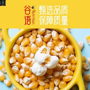 vacuum popcorn packed kernels rice corn 500g