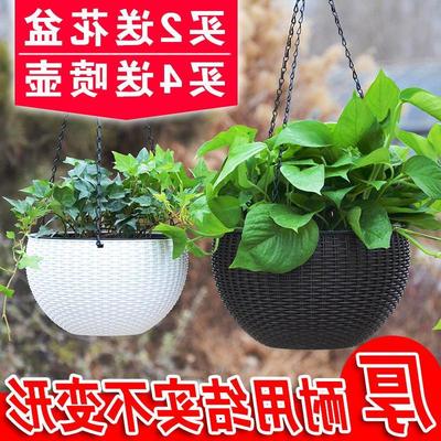 flowerpot orchid basin flower pot hanging plastic 花盆