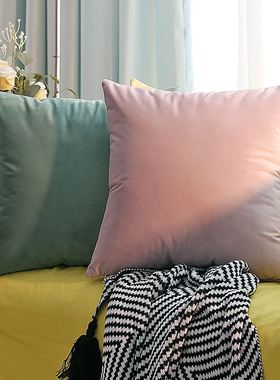 Solid-colored throw pillows Pink Cushions velvet backrest